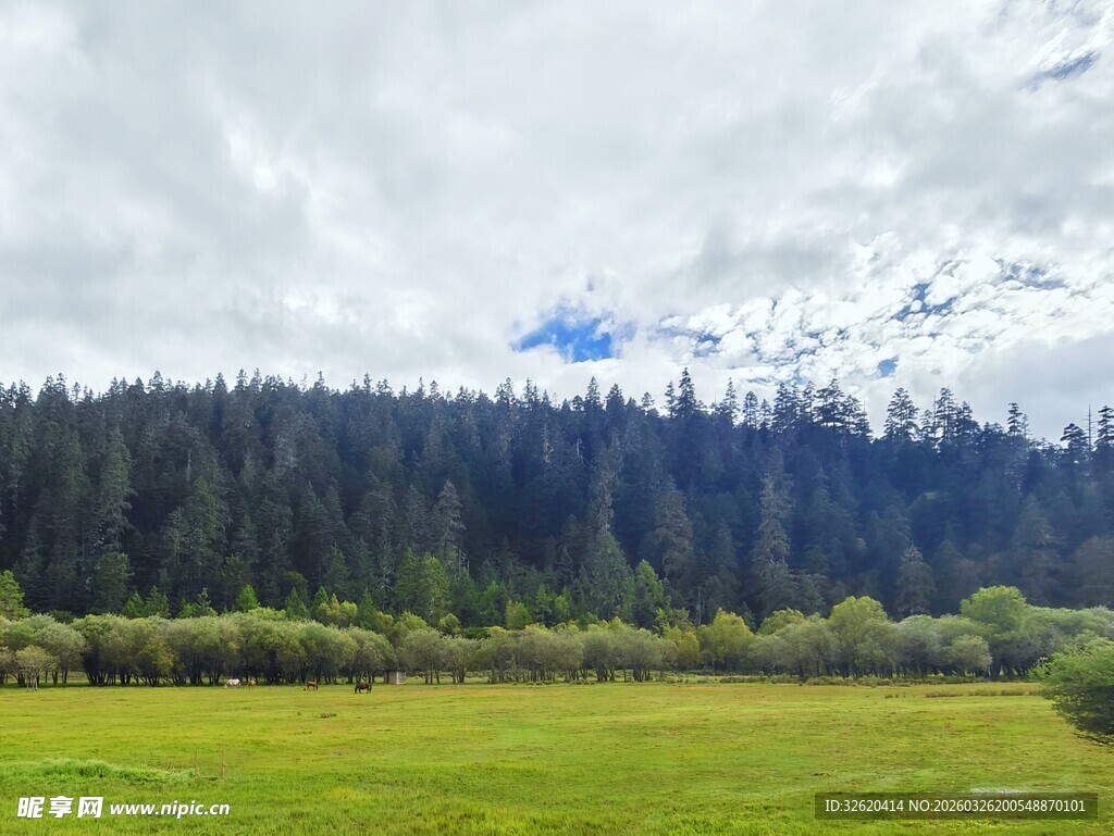绿野山林间的自然美景