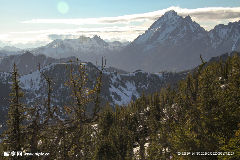 雪山森林壮丽自然景观