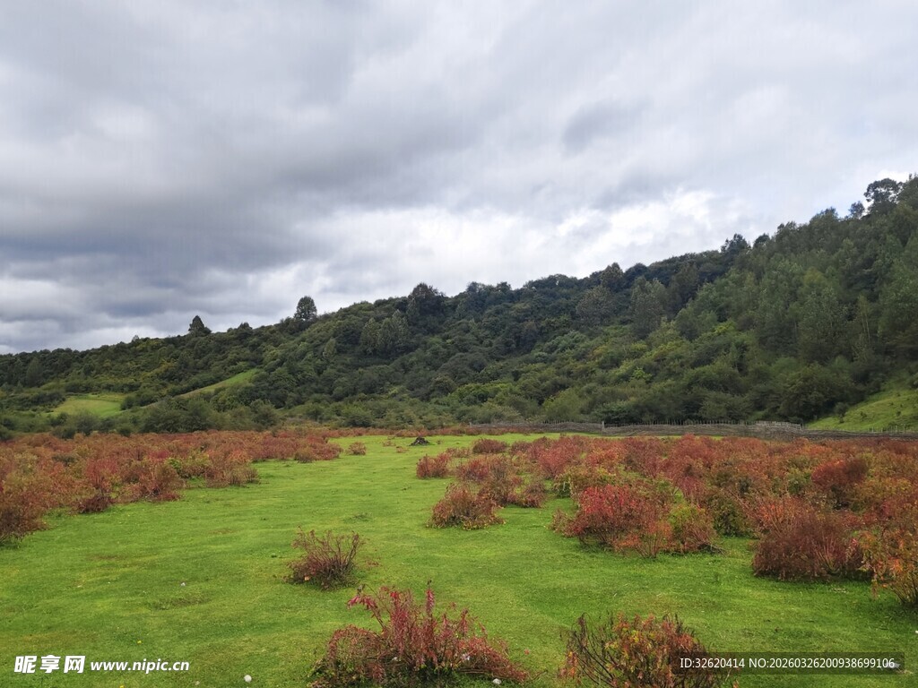 绿野红植间的山林景致