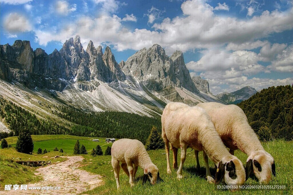 山间牧场景色与吃草羊群