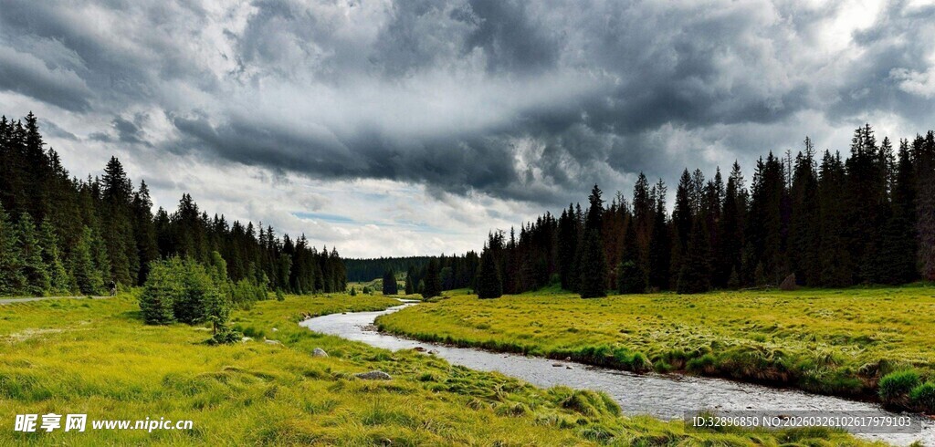 草原溪流边的茂密森林