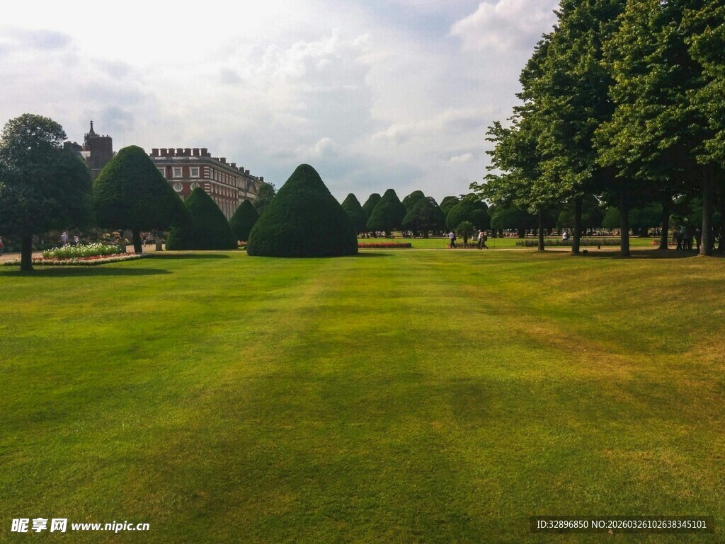 绿意盎然的开阔园林景观