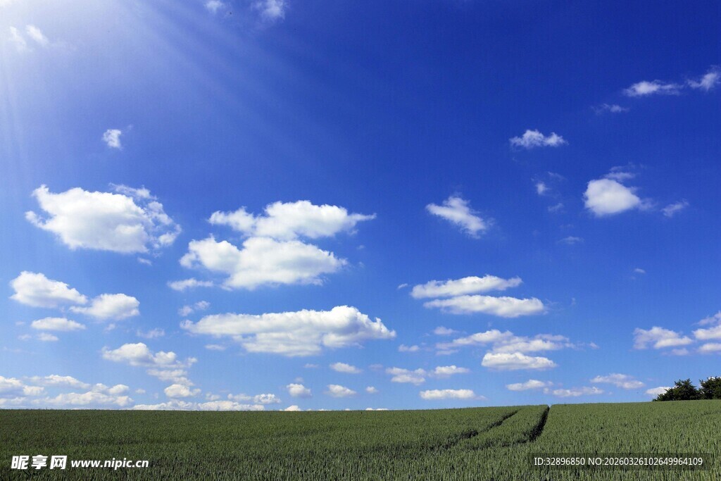 蓝天绿地间的开阔美景