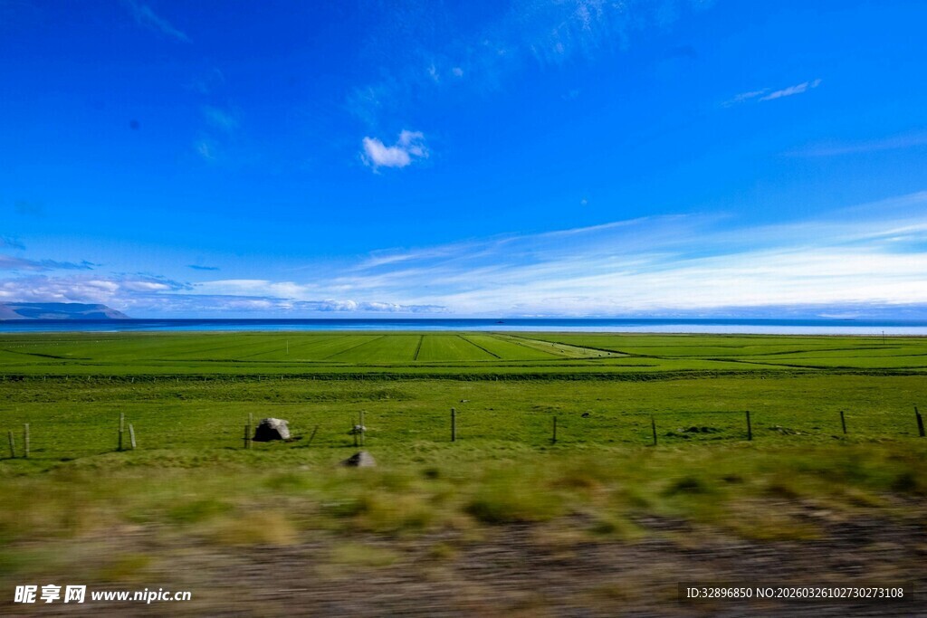 草原风光放牧场景