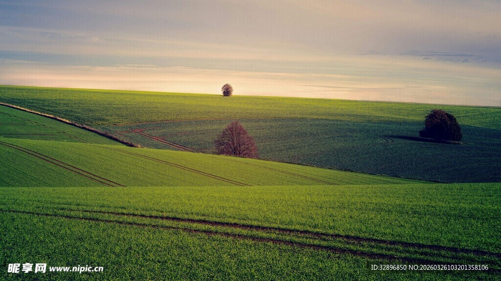 田园风光中的静谧景致