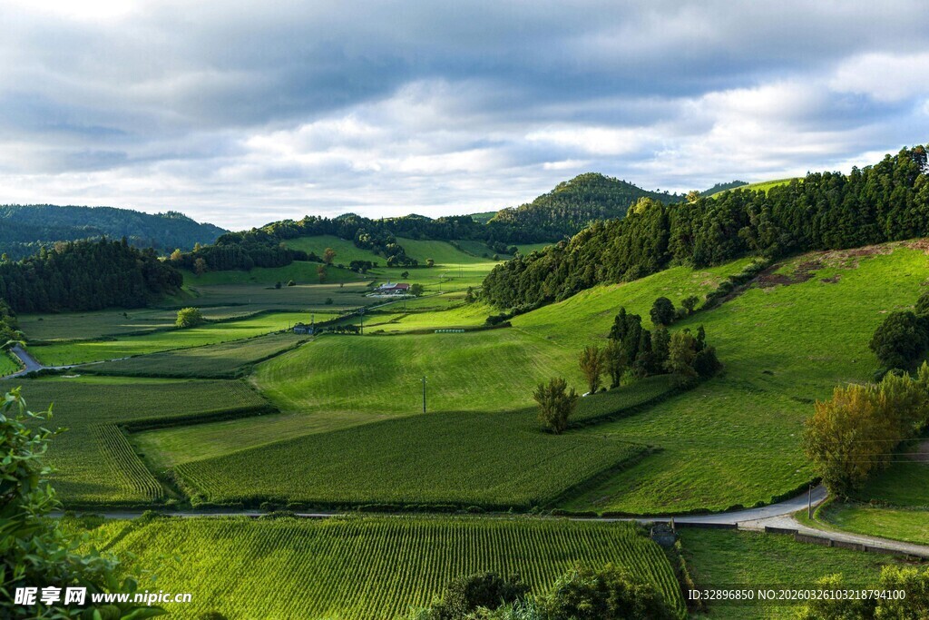 田园绿野风光美景