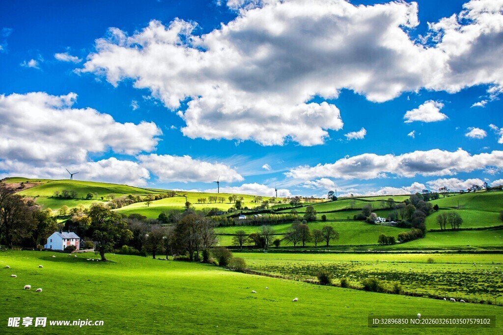 田园风光蓝天白云下的绿野