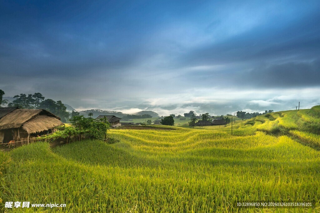 田园风光中的静谧小屋