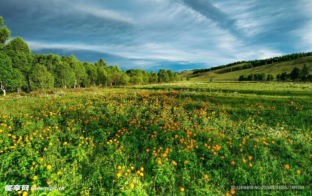 广袤绿野自然风光如画