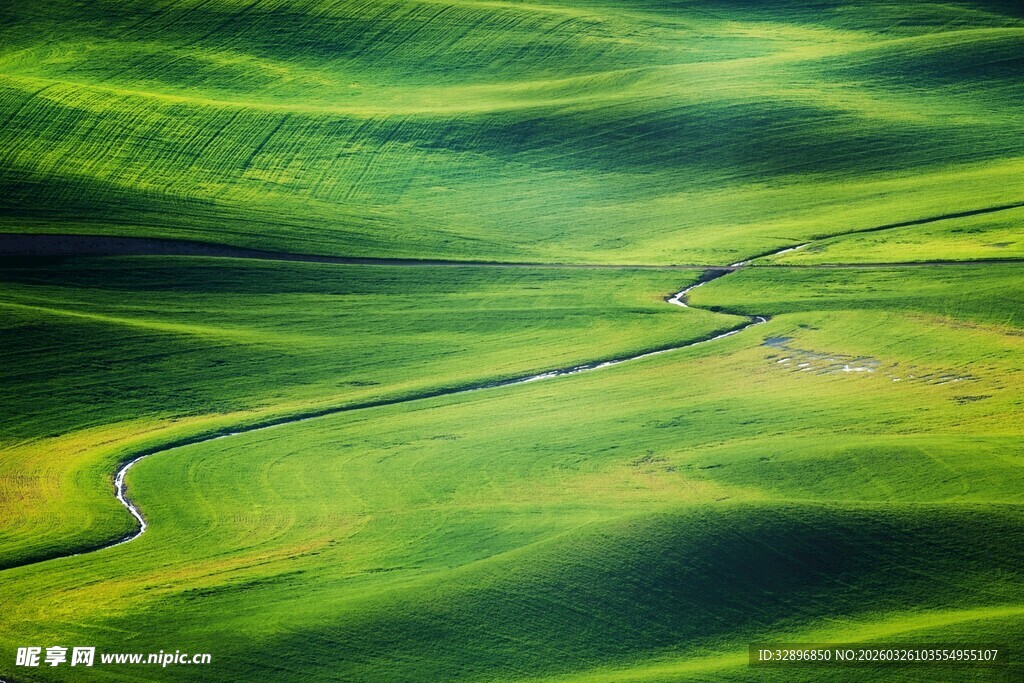 绿色田野中的蜿蜒小路