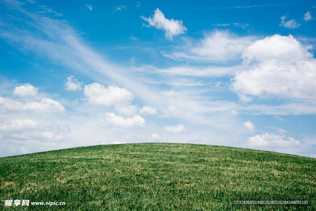 蓝天白云下的绿色草原