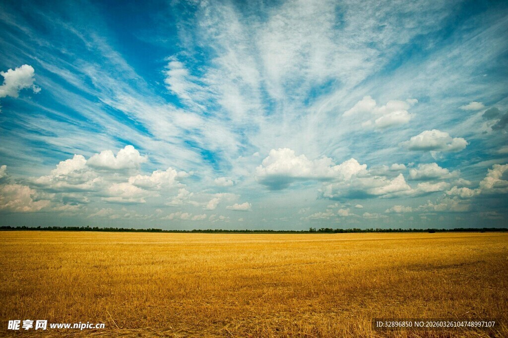 金黄麦田与蓝天白云美景