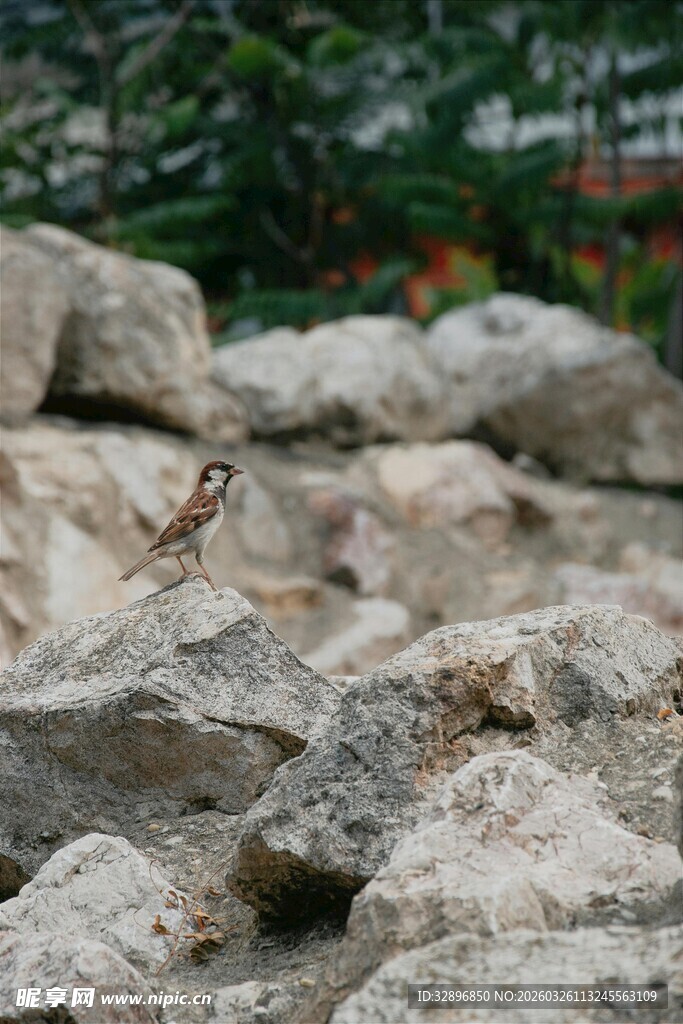 户外堆叠的灰色石块