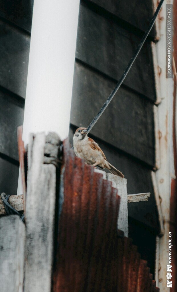 老旧墙面与悬挂物件