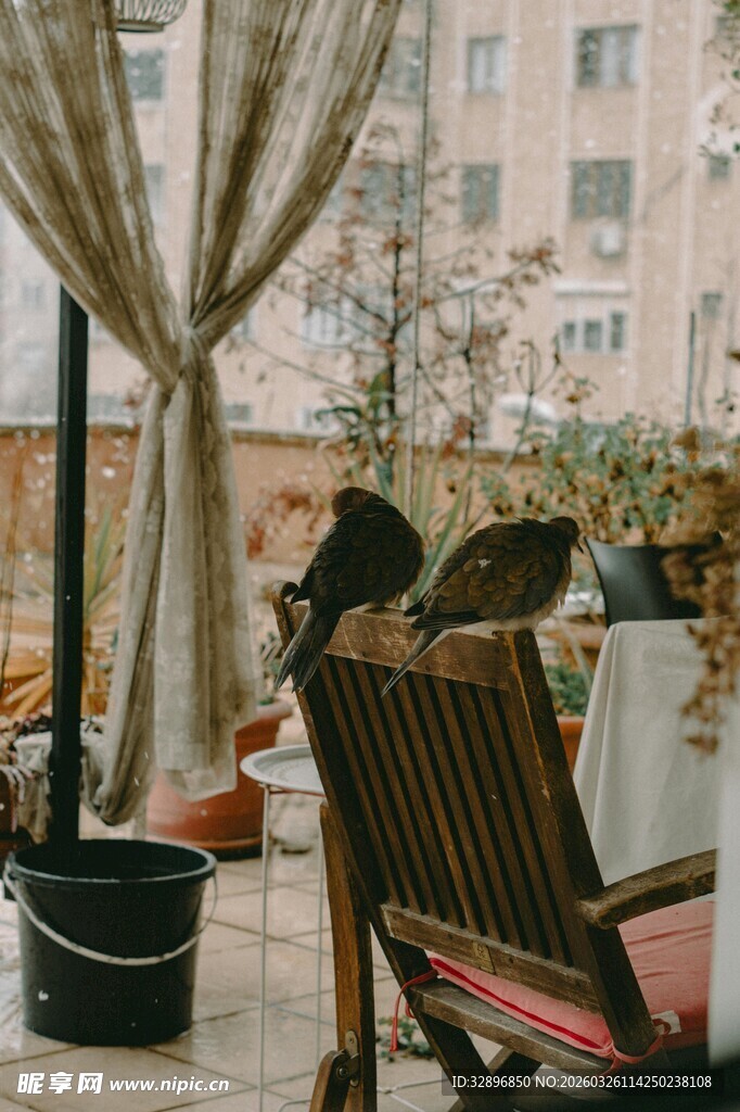 户外休闲桌椅场景