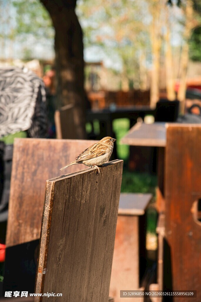 户外木桌椅惬意休闲场景