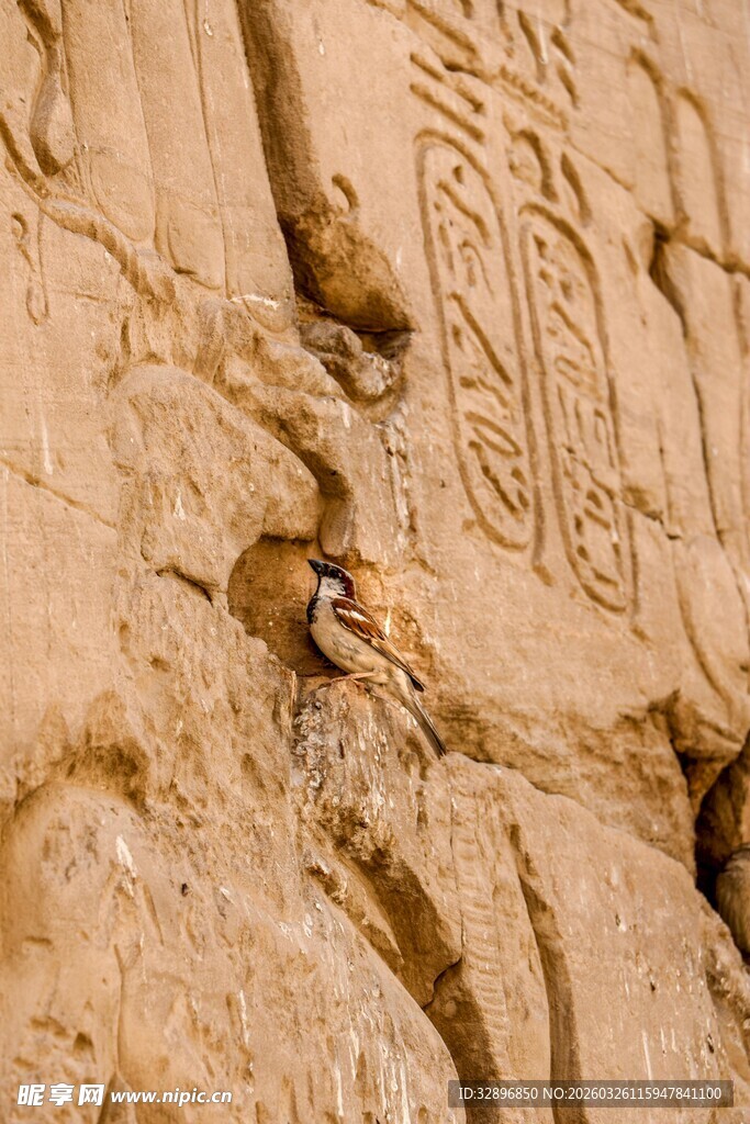 古老石壁上的神秘雕刻