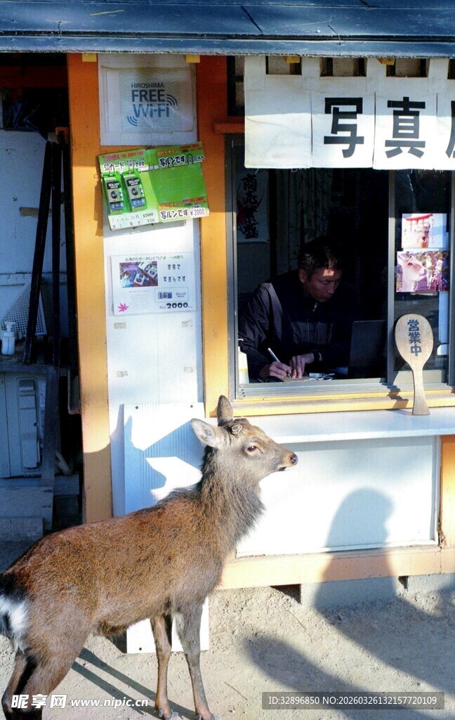 店铺前的小鹿