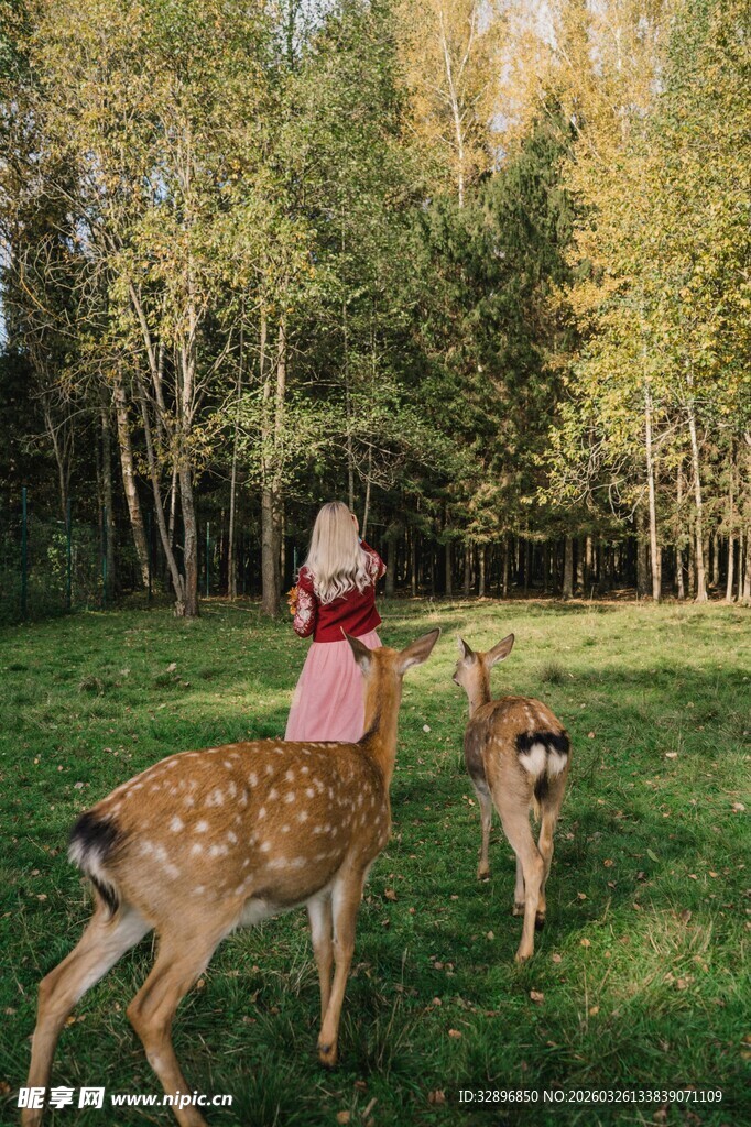 女孩与小鹿亲密互动