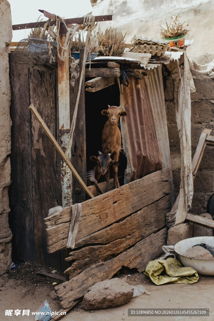 破旧简陋的临时棚户