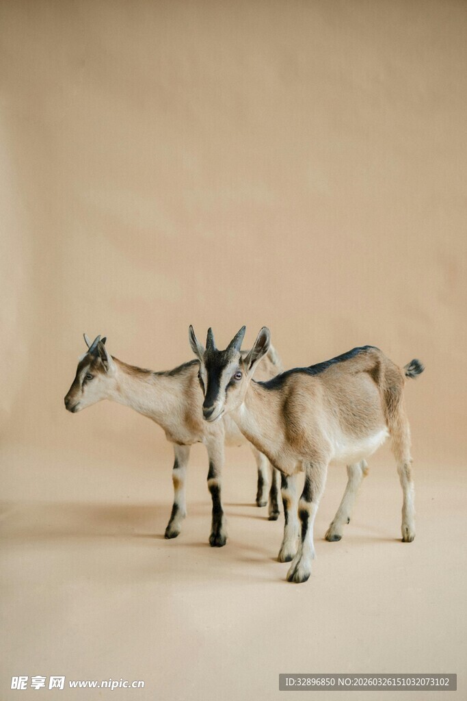 三只羚羊模型摆件