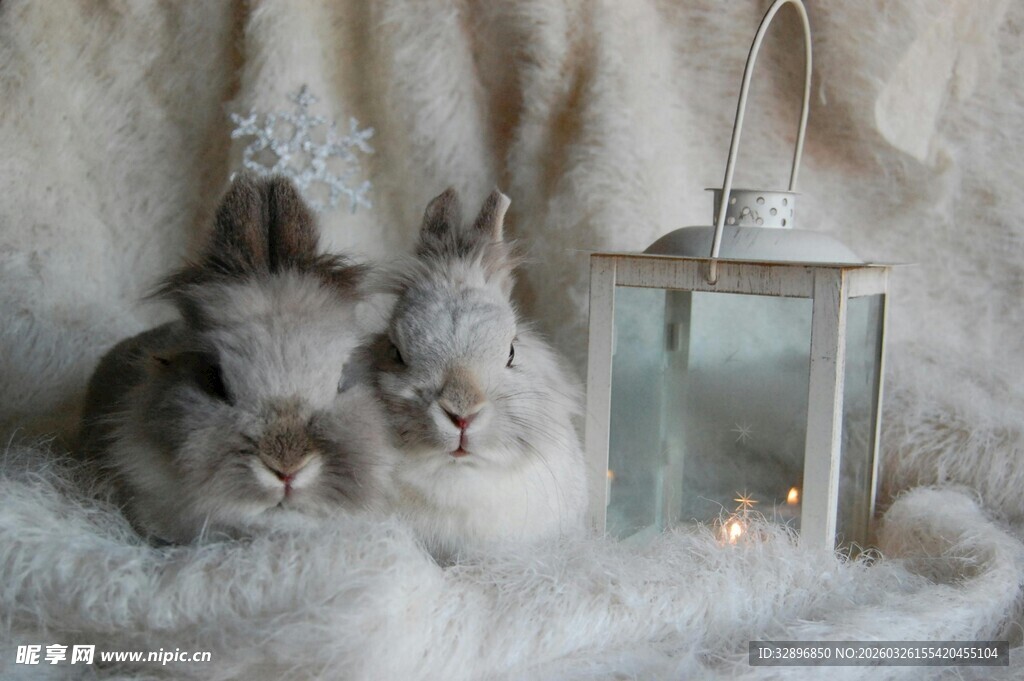 依偎的萌兔与温馨小灯