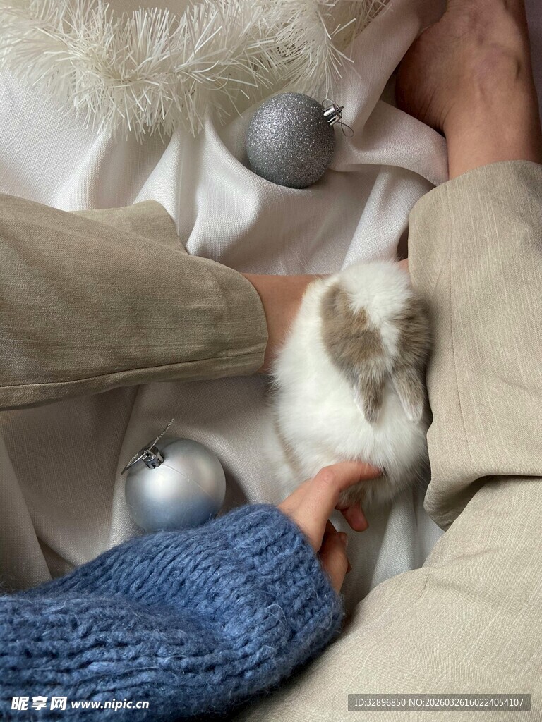 人与萌兔温馨互动场景