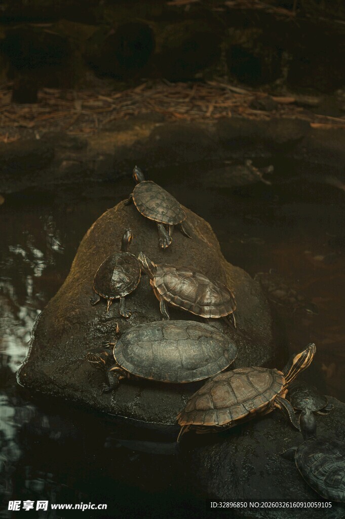 古老石磨置于昏暗环境中