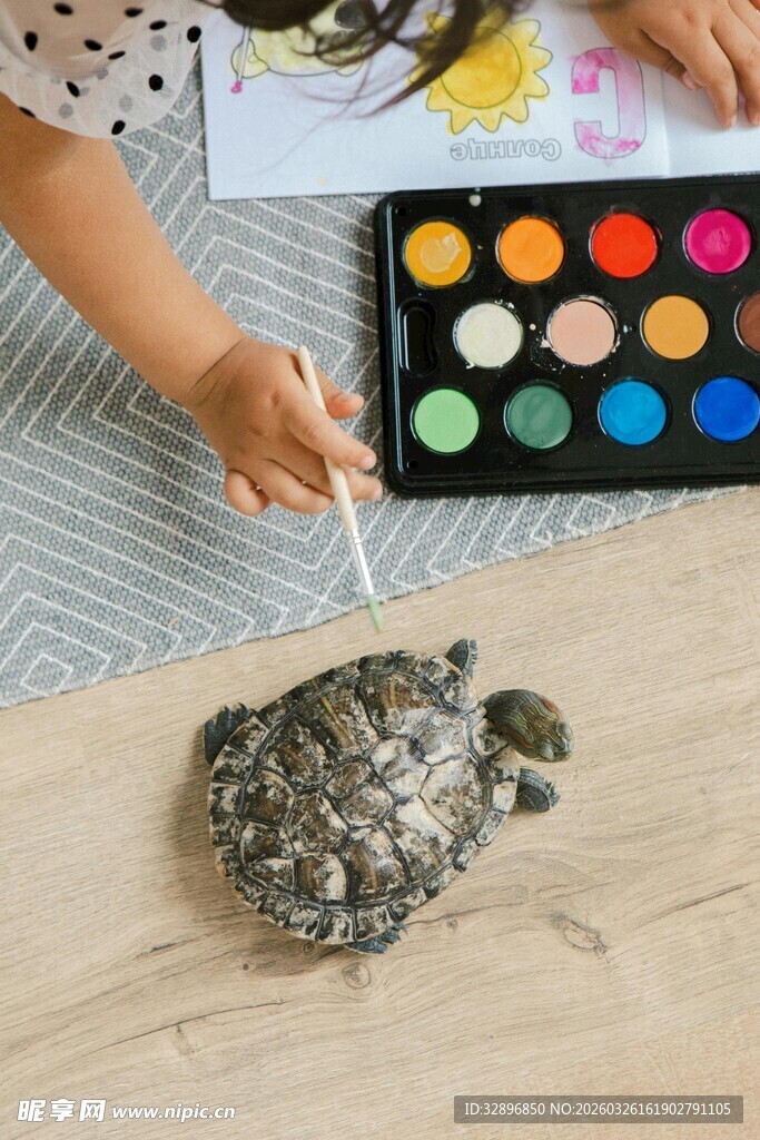 儿童手绘乌龟艺术创作