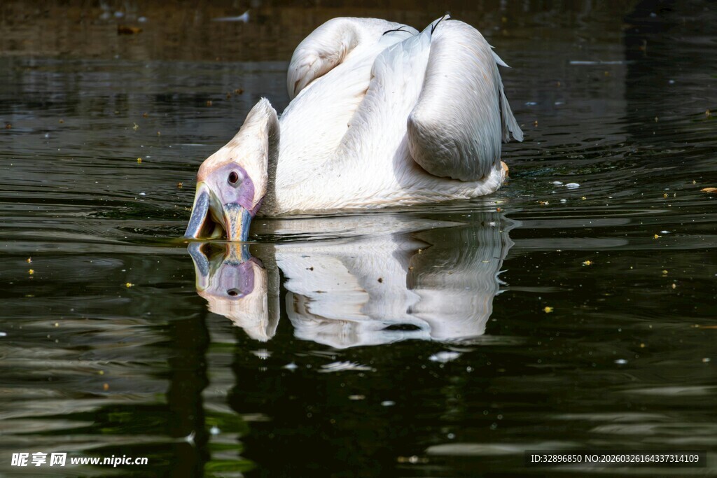 水中漂浮的白色独特雕塑