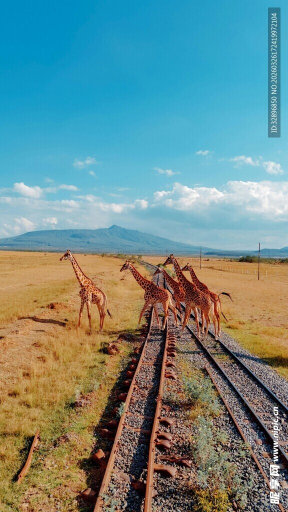 荒野中扭曲的废弃铁轨