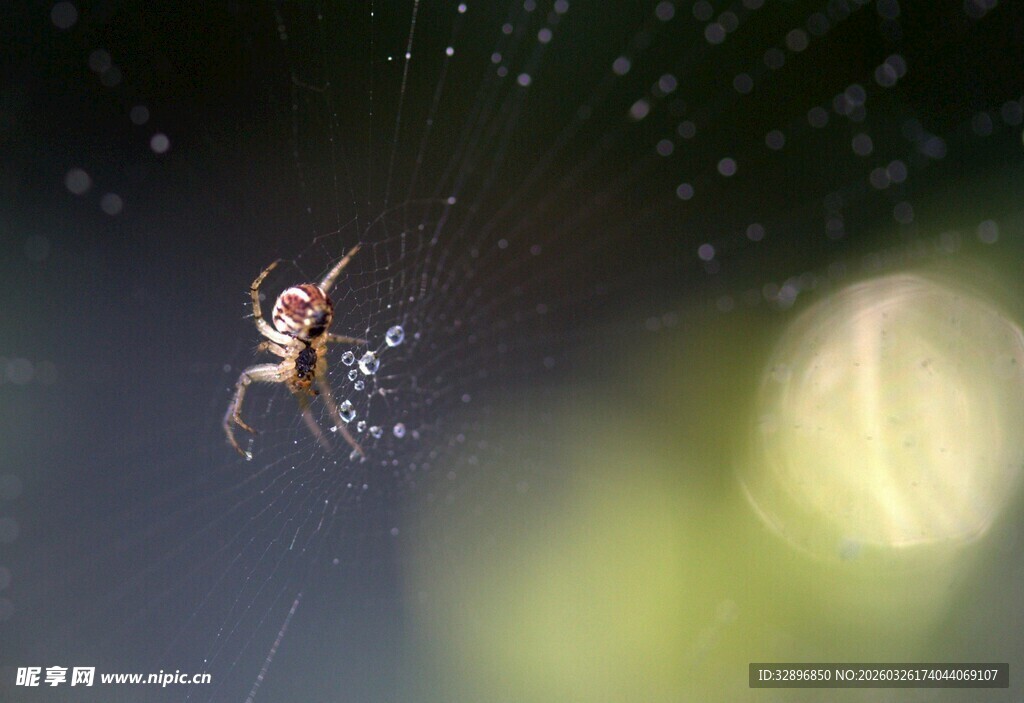 空中舞者展现优雅身姿