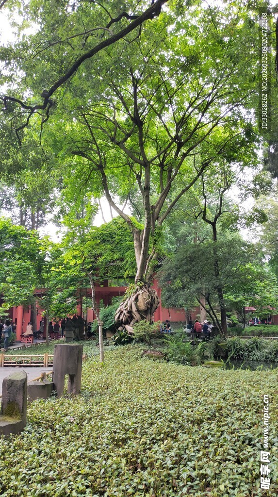 成都武侯祠园林