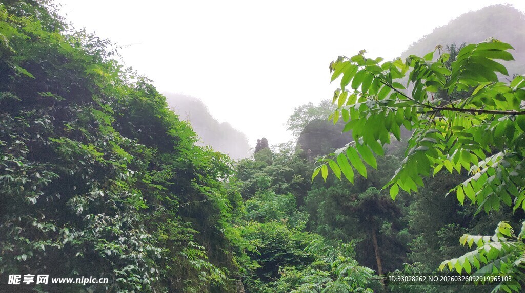 恩施大峡谷母子峰 