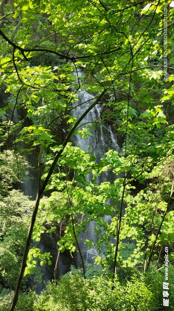 巴东雨仙谷溪谷 