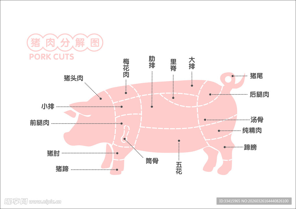 猪分解图