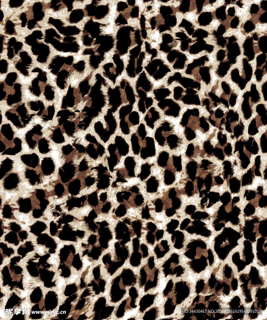 豹纹图案纹理特写
