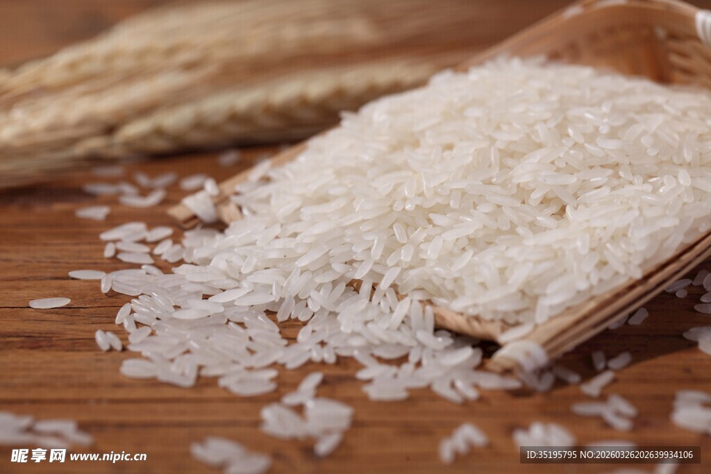 木勺中的优质白米