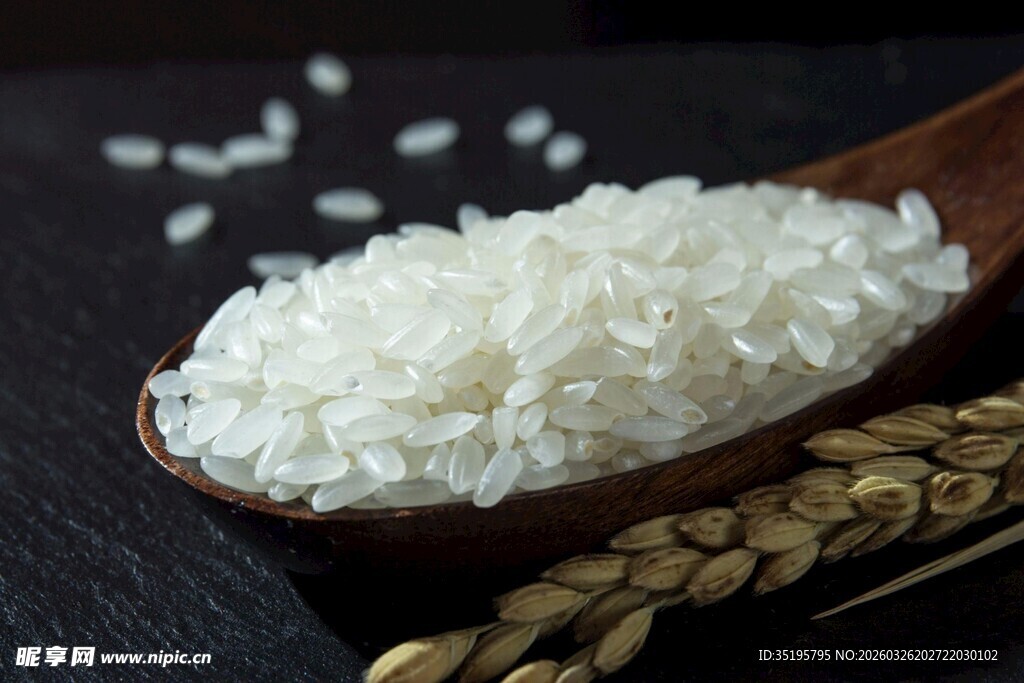 木勺盛优质大米与麦穗