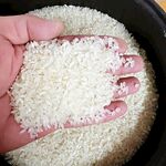 手中捧着的优质白米