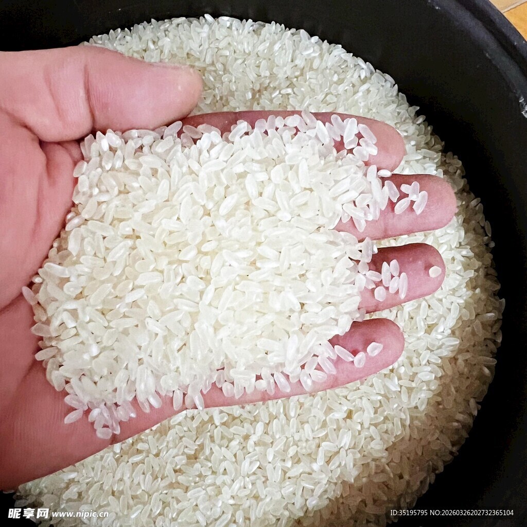 手中捧着的优质白米