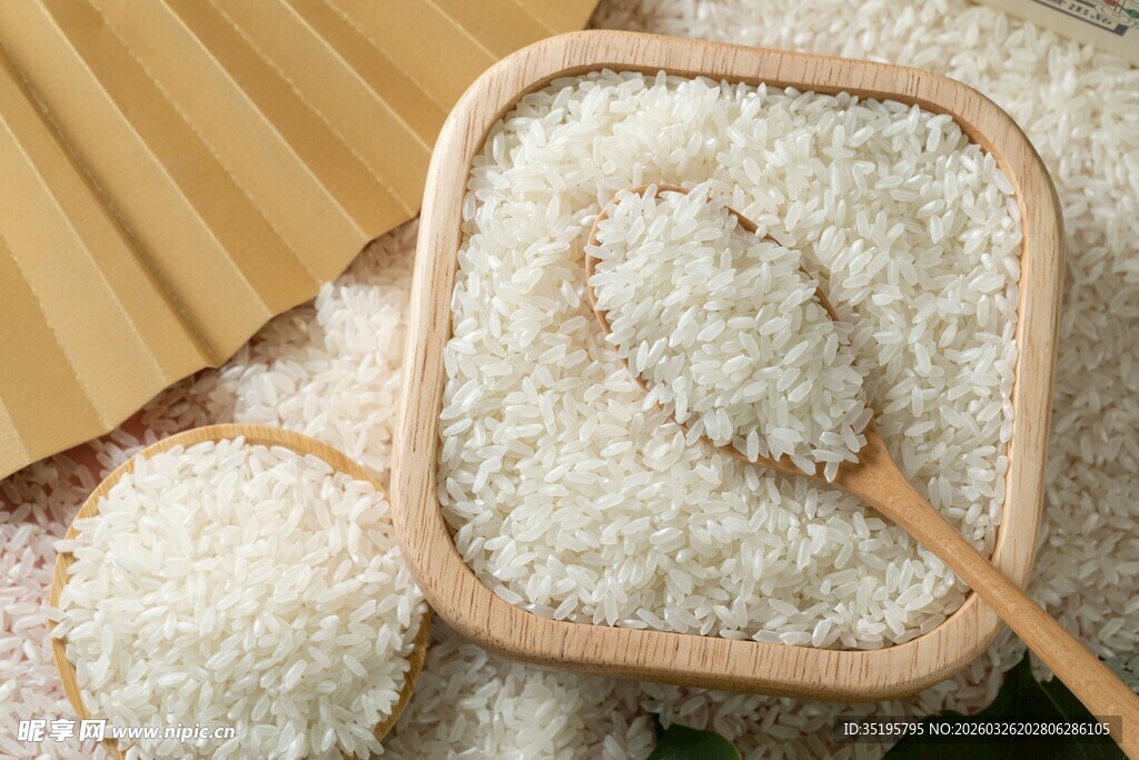 优质大米颗粒饱满晶莹