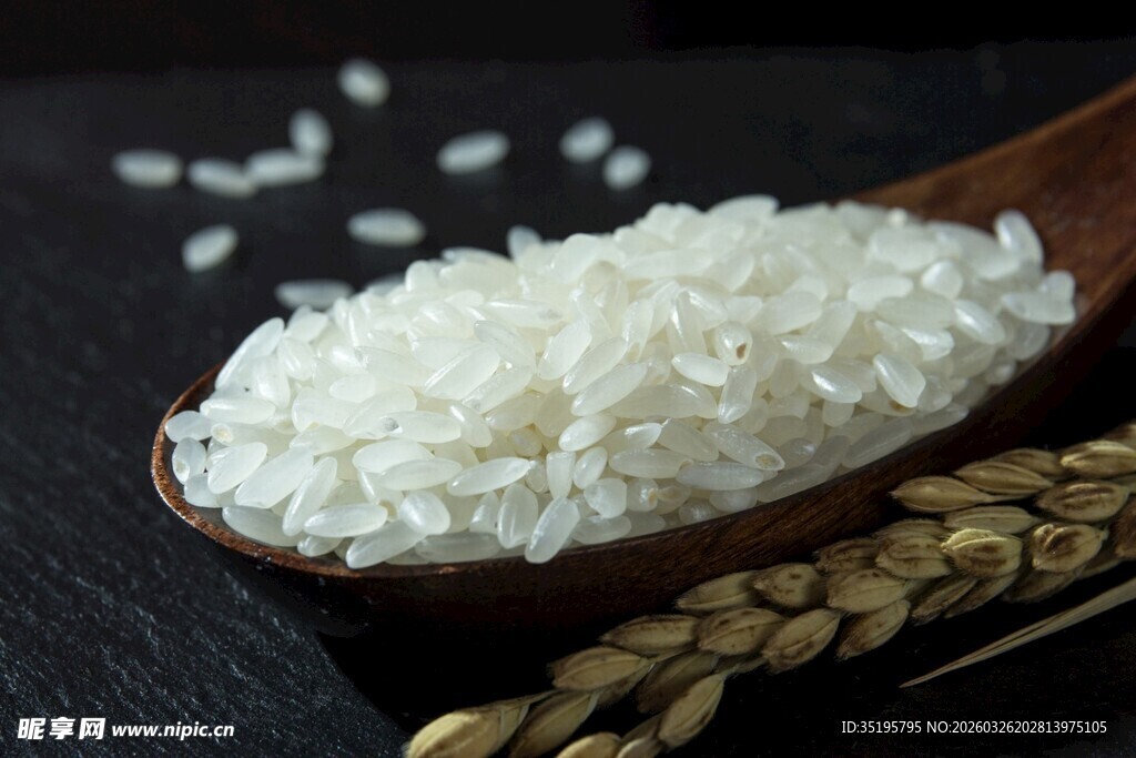 木勺盛优质大米与麦穗