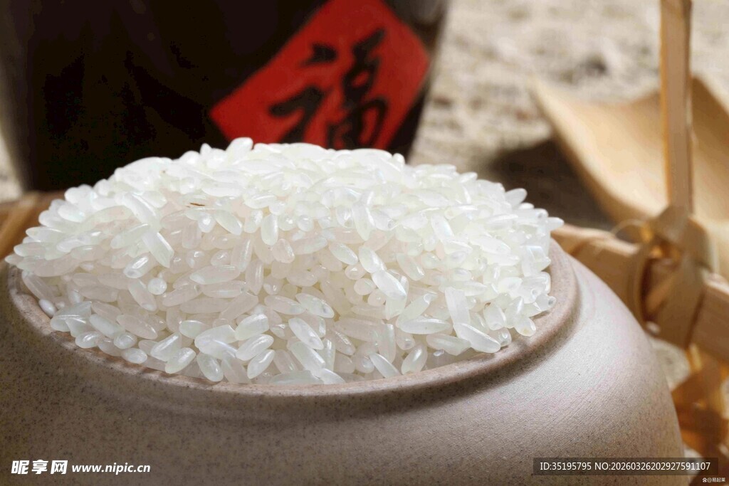 瓷碗中的优质白米