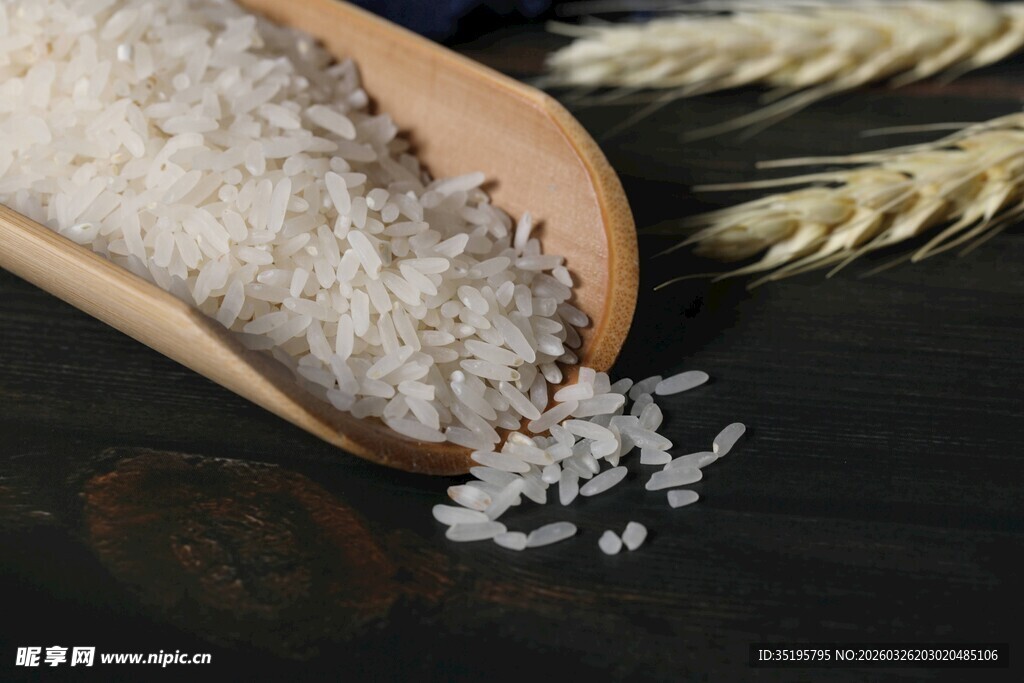 木勺盛米与麦穗特写