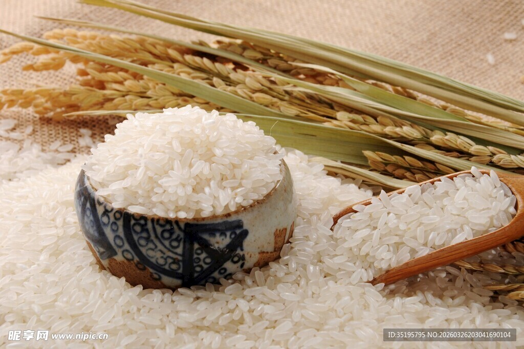 一碗香米显谷物丰收之美