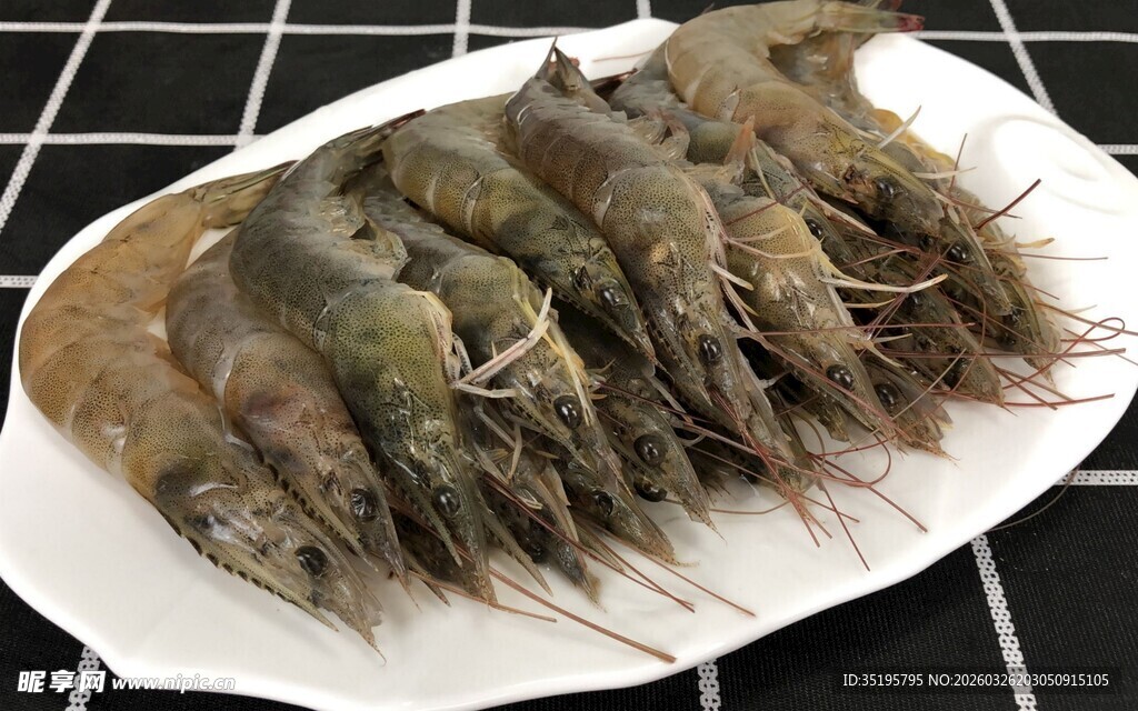 新鲜大虾摆放在白色盘中