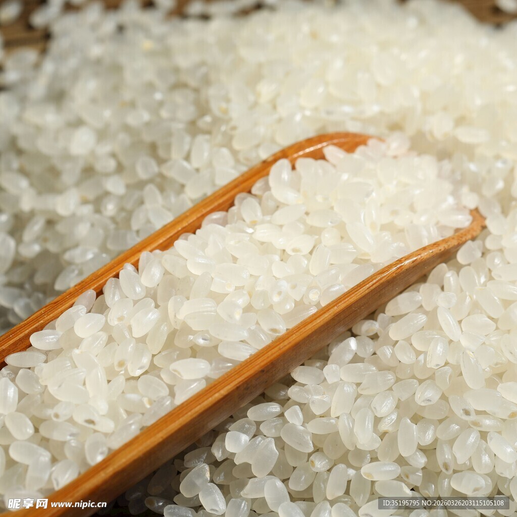 木勺盛着的优质白大米