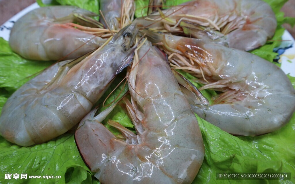 新鲜大虾摆放在翠绿生菜上