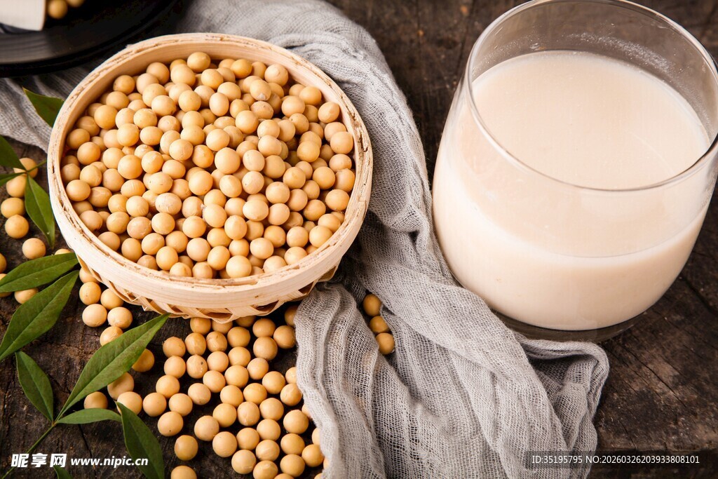 黄豆与豆浆的自然组合